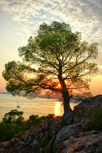 massif de l'esterel  (Esterel Gebirge) in Südfrankreich